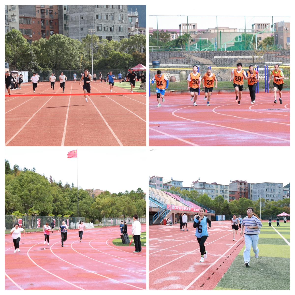 ͼ3 �ܲ�_����.jpg